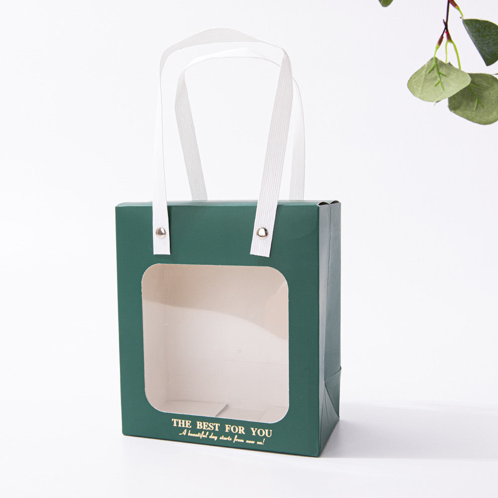 Transparent Windowed Gift Bag 18x21x8.5cm